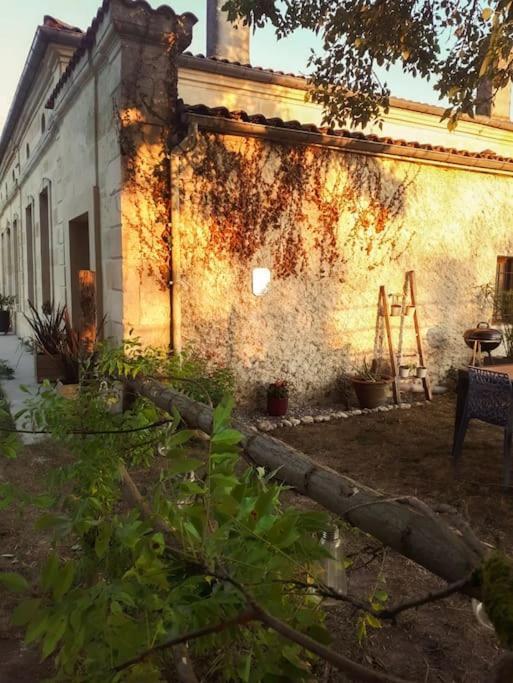 Apartmán Gite A La Ferme Chaleureux Civrac-de-Blaye Exteriér fotografie